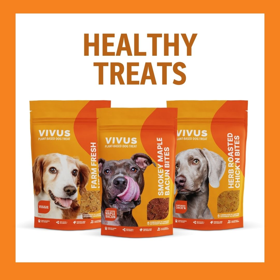 Vegan treats hotsell for dogs