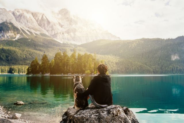 Man and dog in nature in front of a lake