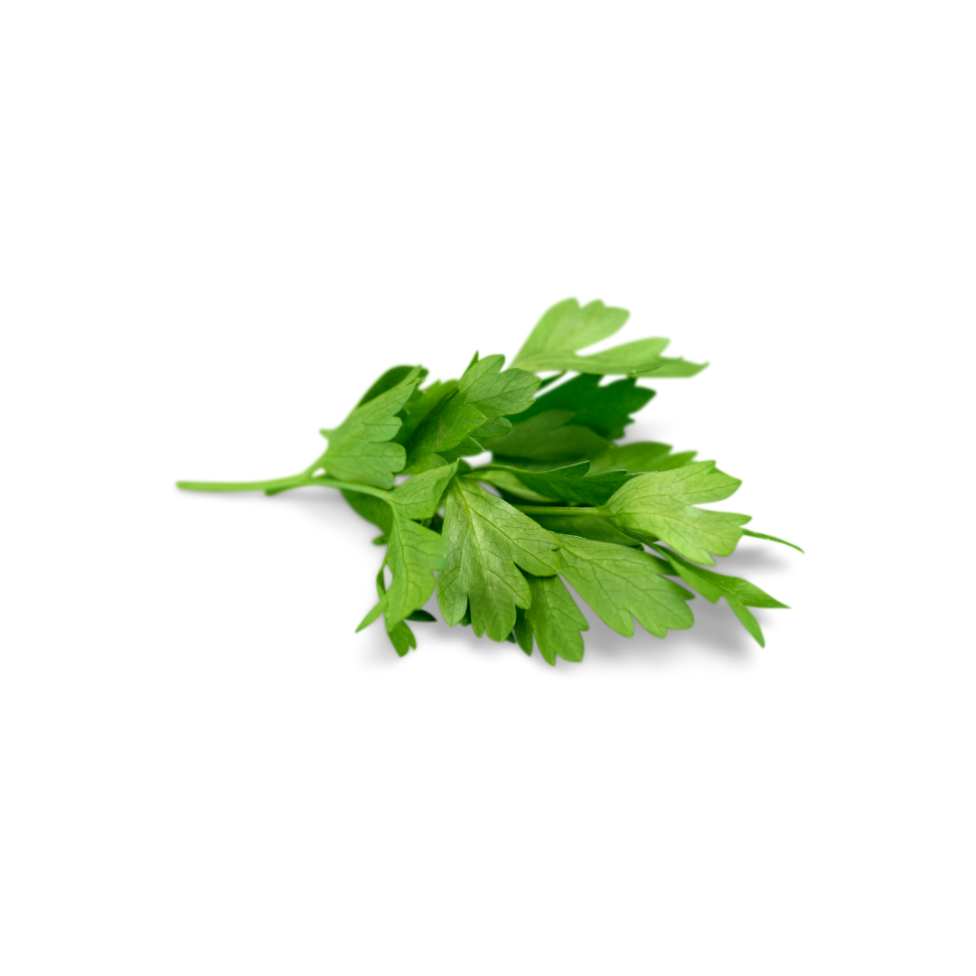 A picture of parsley