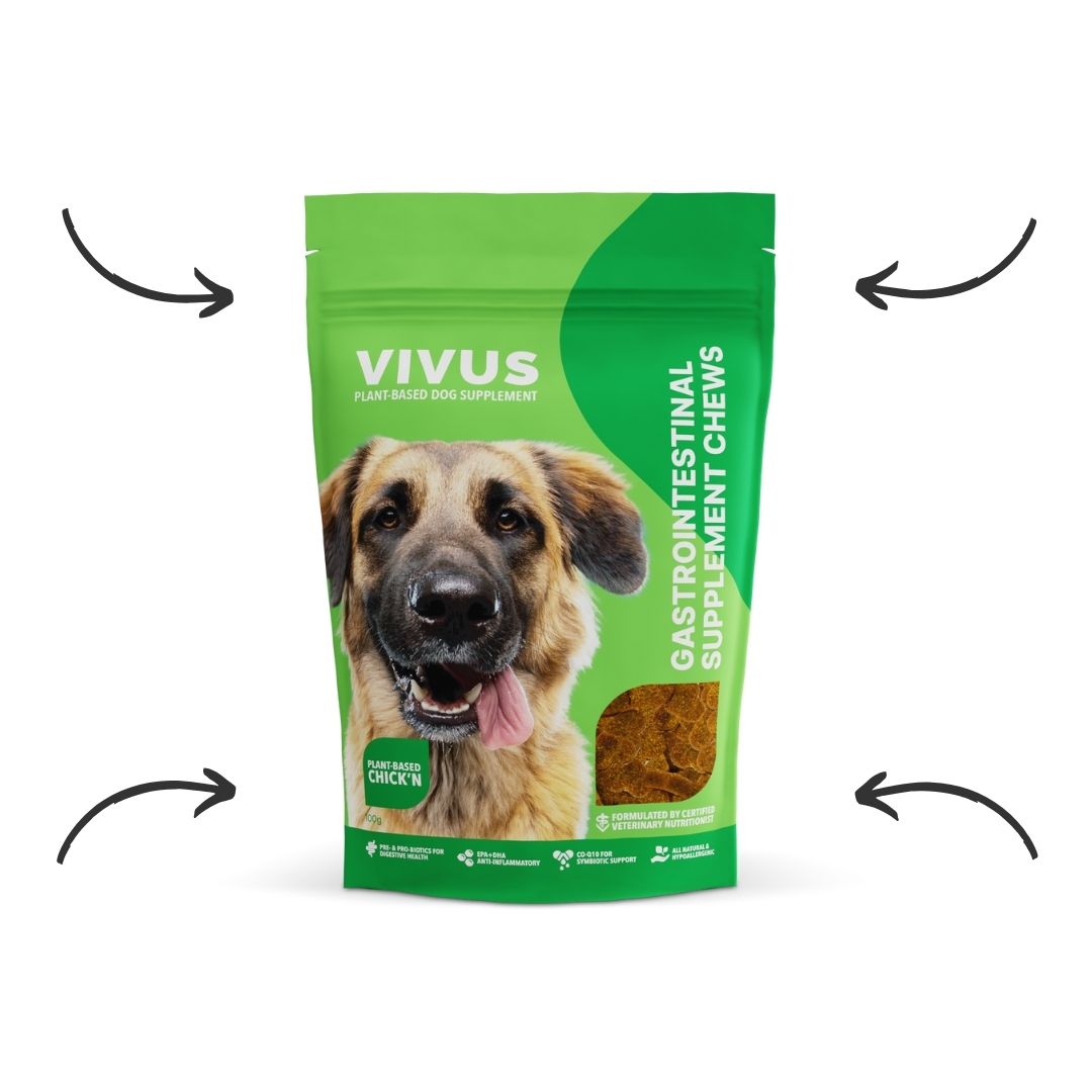 Vivus Pets Gastrointestinal Support Chewable Supplement Vivus Pets Gastrointestinal Support Chewable Supplement