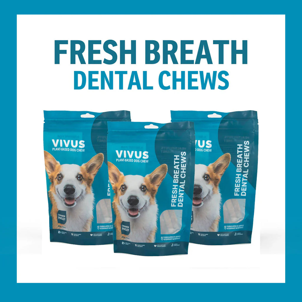 Why Vivus Pets Plant-Based Dental Chews Belong in Your Dog’s Healthy Diet