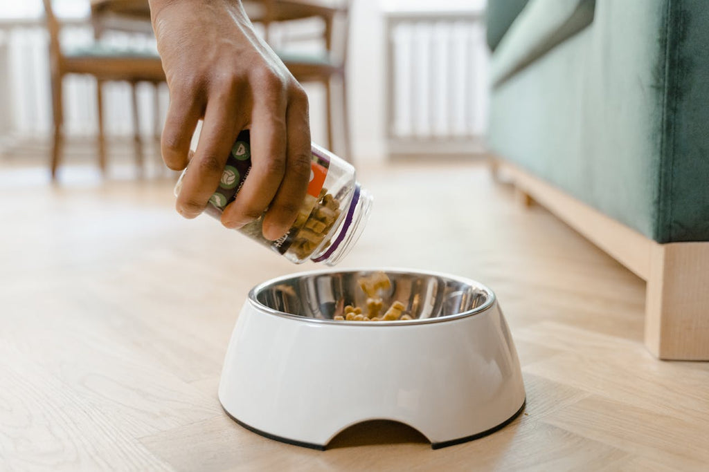 How to Buy the Best Healthy Dog Food