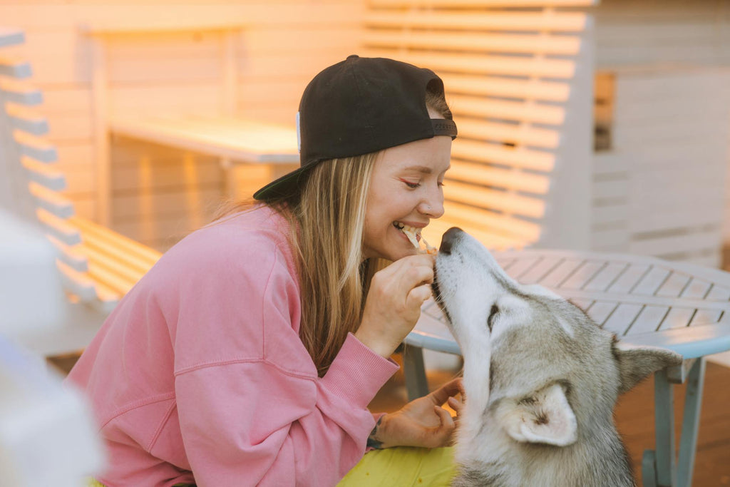 How to Find the Healthiest Dog Food