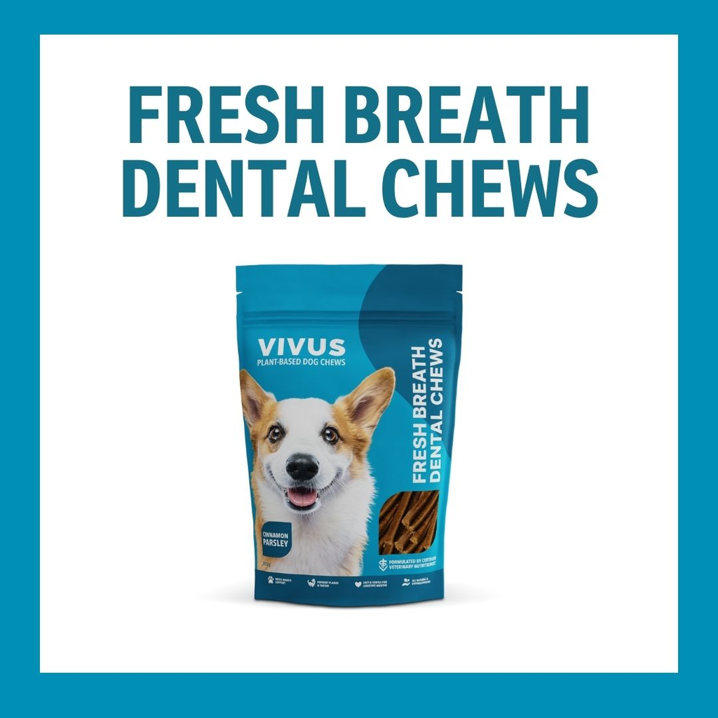 Vegan Dental Chews Fresh Breath and Oral Hygiene Vivus Pets