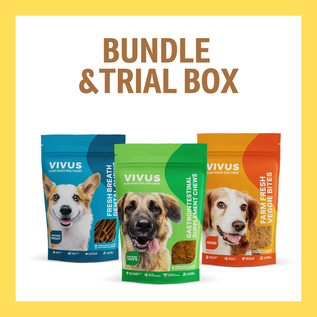 Vivus Pets Bundle Box for Plant-Based Dog Food
