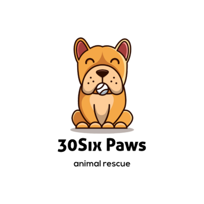 30Six Paws