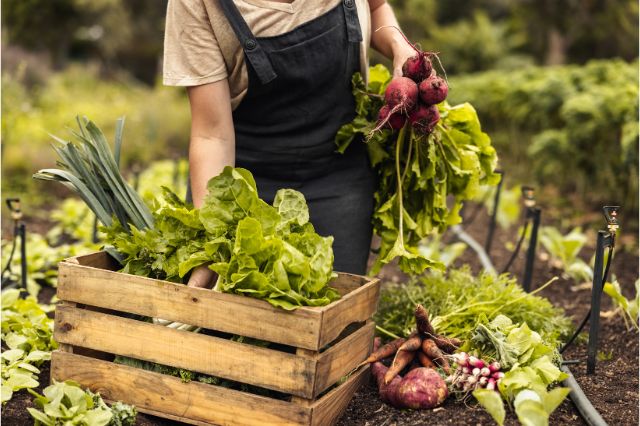 Fresh vegetables and fruits