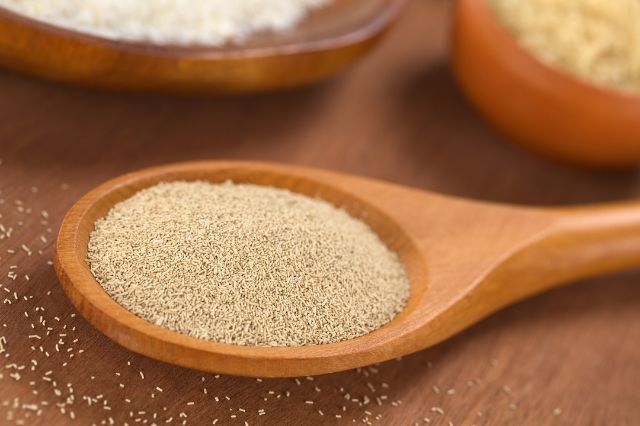 Brewer's yeast
