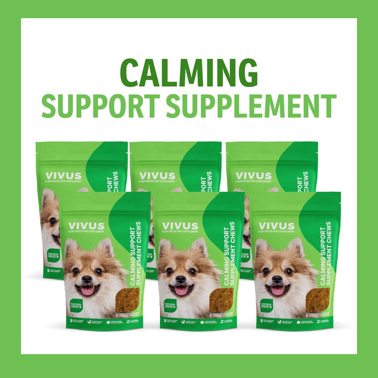 Calming Support Chewable Supplement 6-Pack Bundle