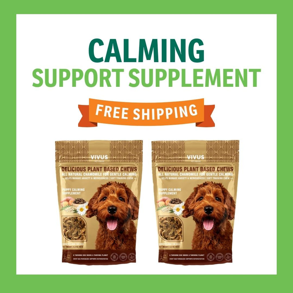 Calming Support Chewable Supplement 2-Pack Bundle