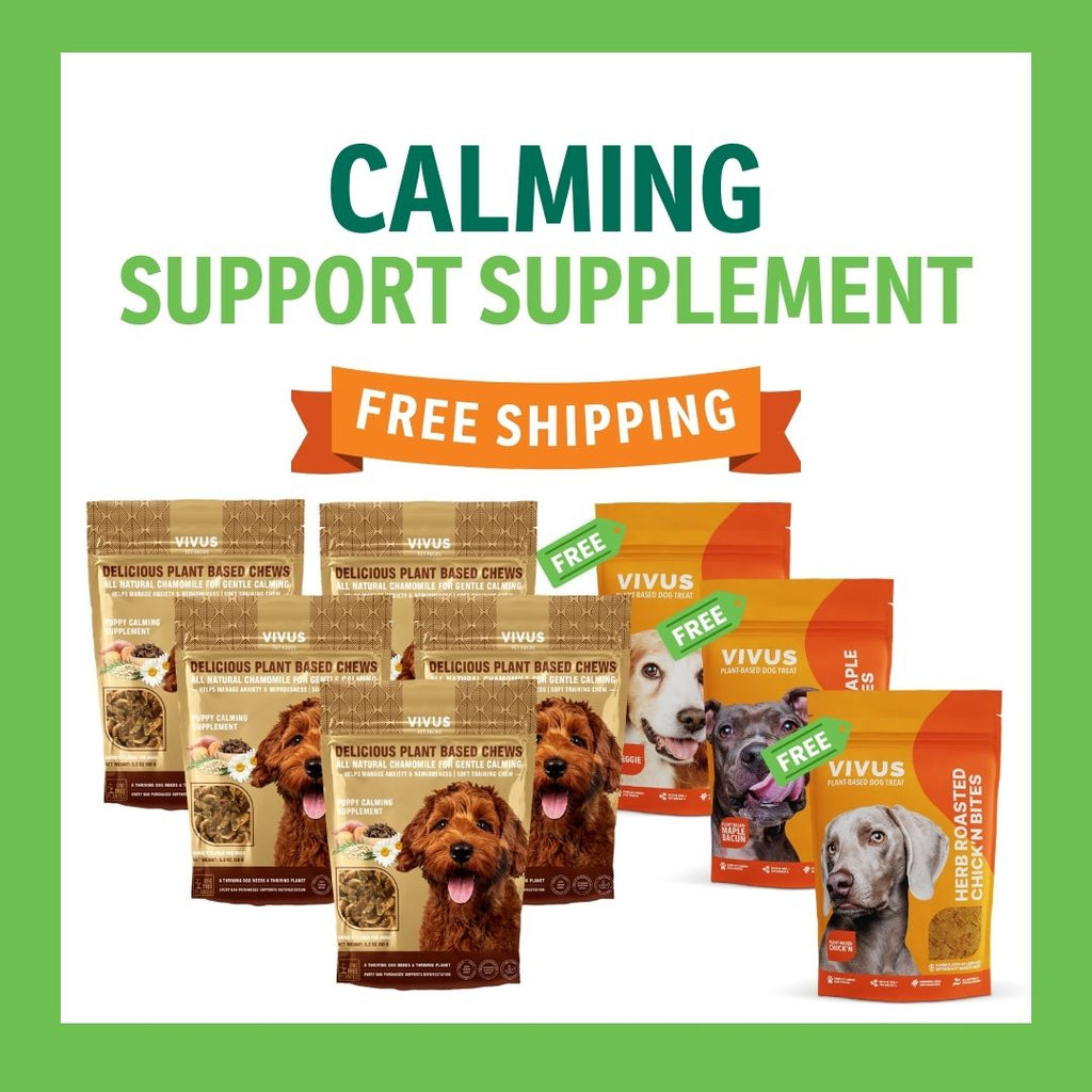 Calming Support Chewable Supplement 5-Pack Bundle