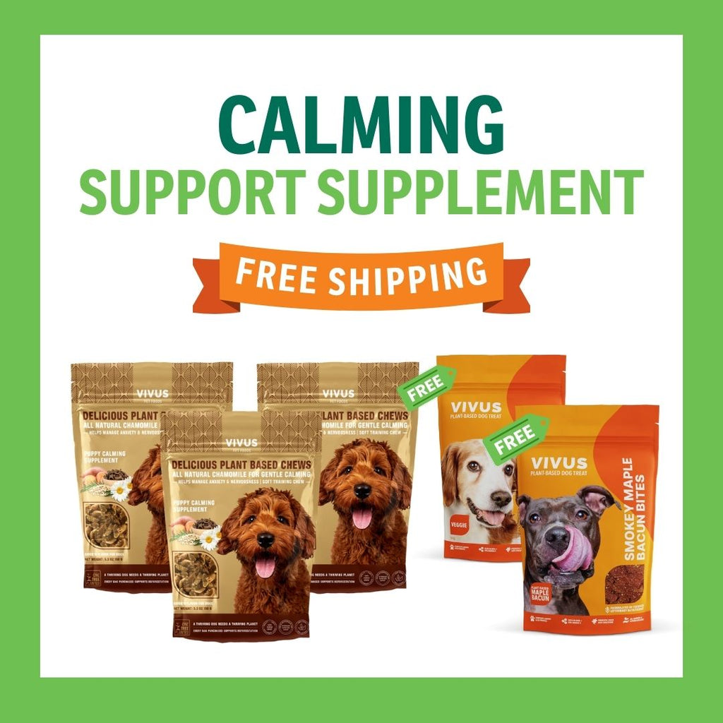 Calming Support Chewable Supplement 3-Pack Bundle