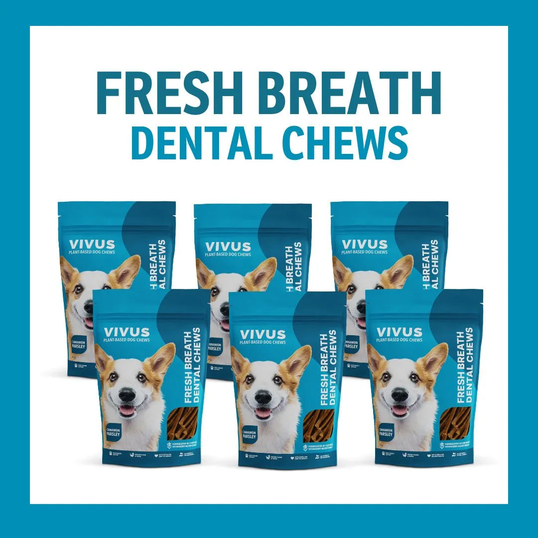 Fresh Breath Dental Chew 6-Pack Bundle