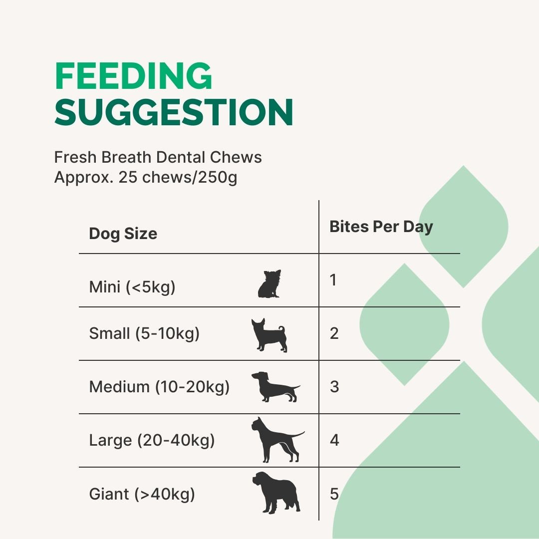 Fresh Breath Dental Chew 250g