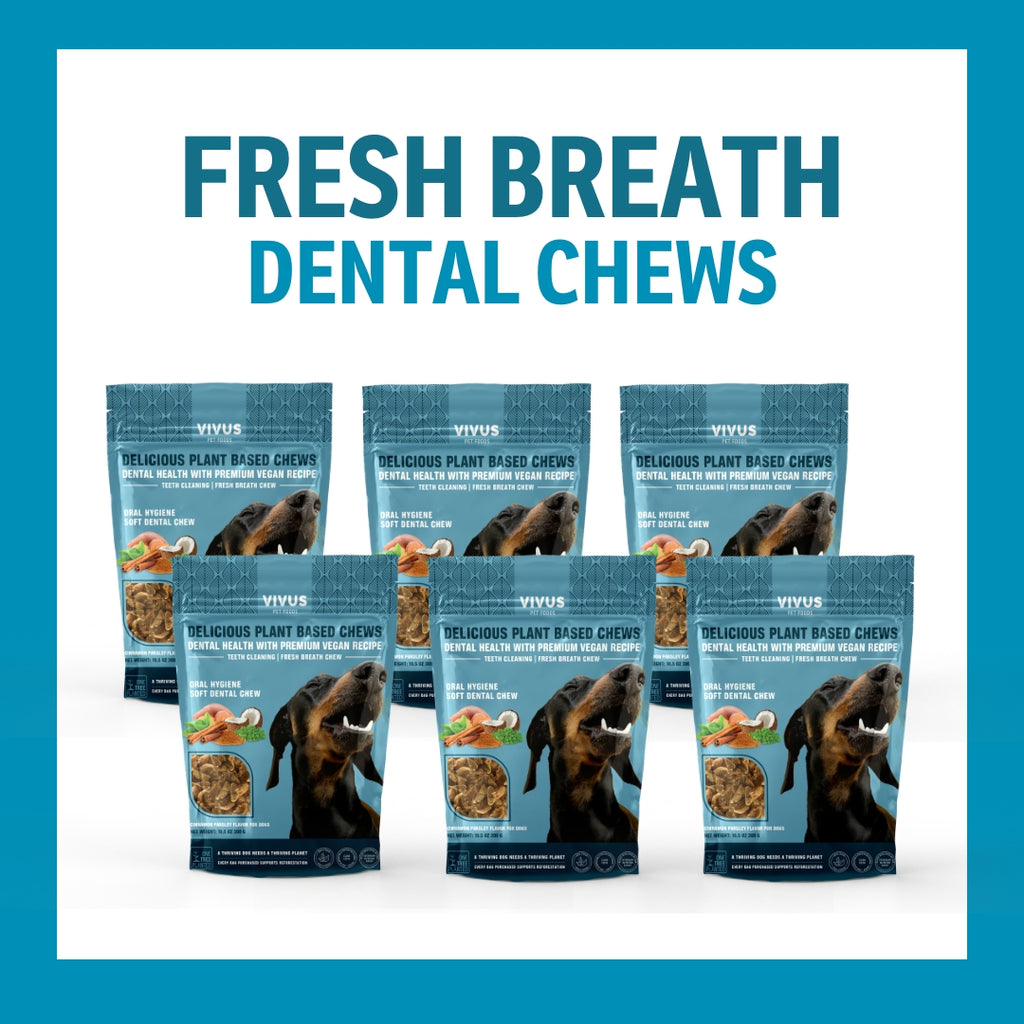 Fresh Breath Dental Chew 6-Pack Bundle
