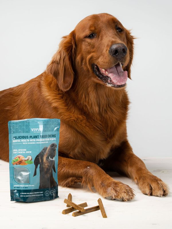 Dog with Fresh Breath Dental Chews
