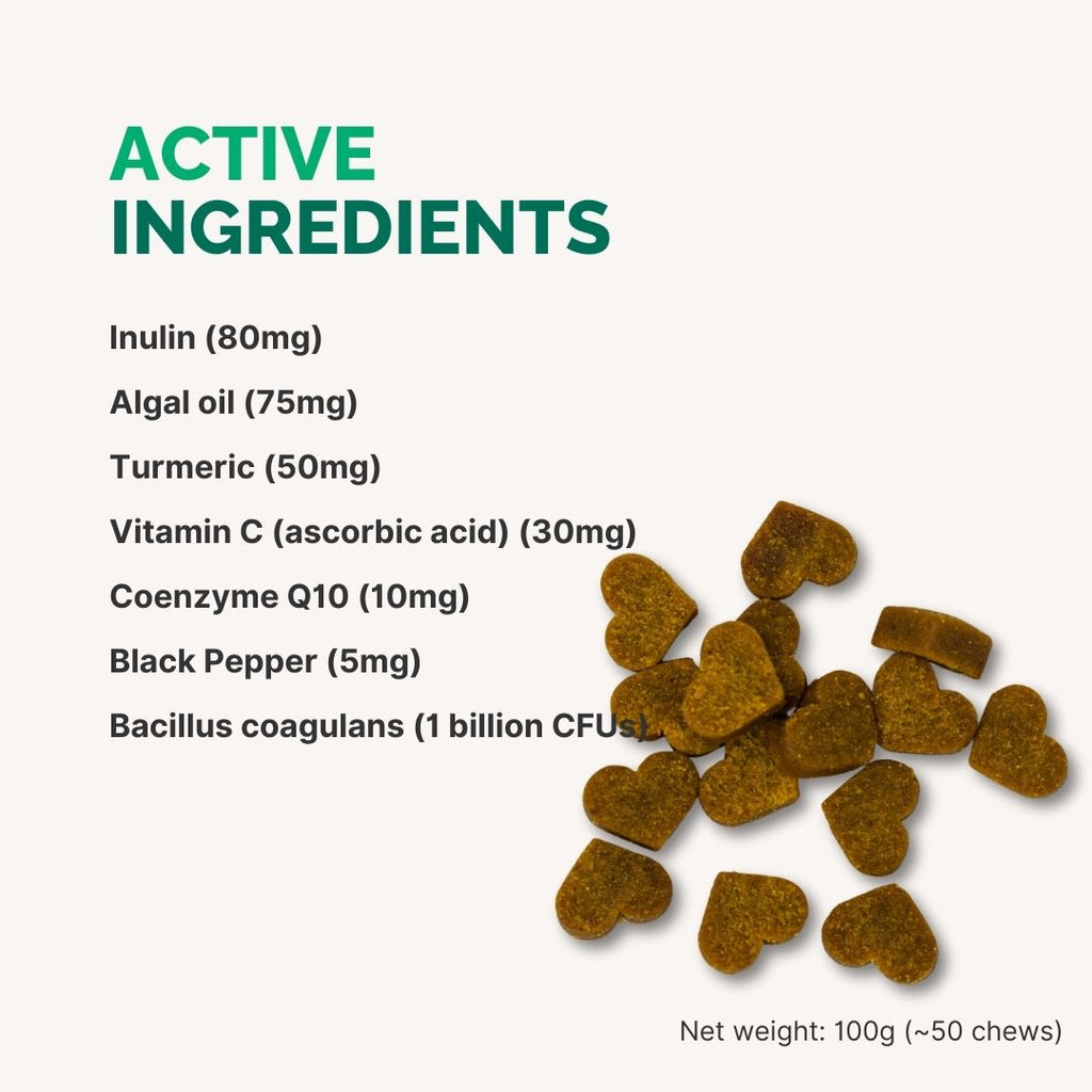 Vegan Gastrointestinal Support Chewable Supplement for Dogs – Vivus Pets