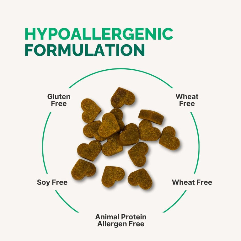 Gastrointestinal Support Chewable Supplement