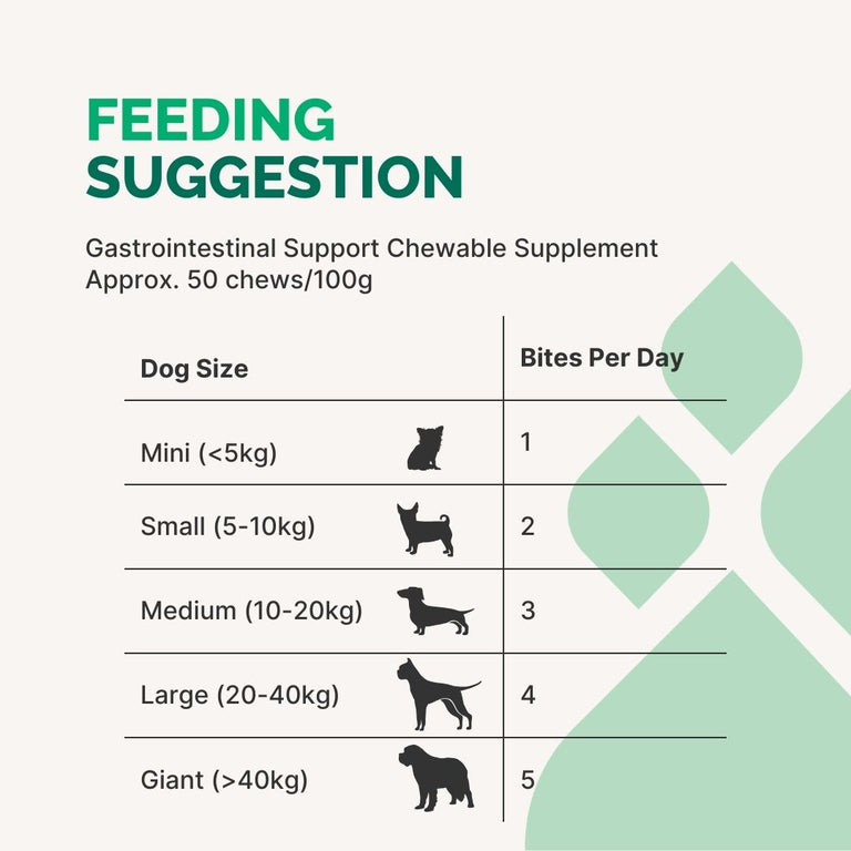 Gastrointestinal Support Chewable Supplement