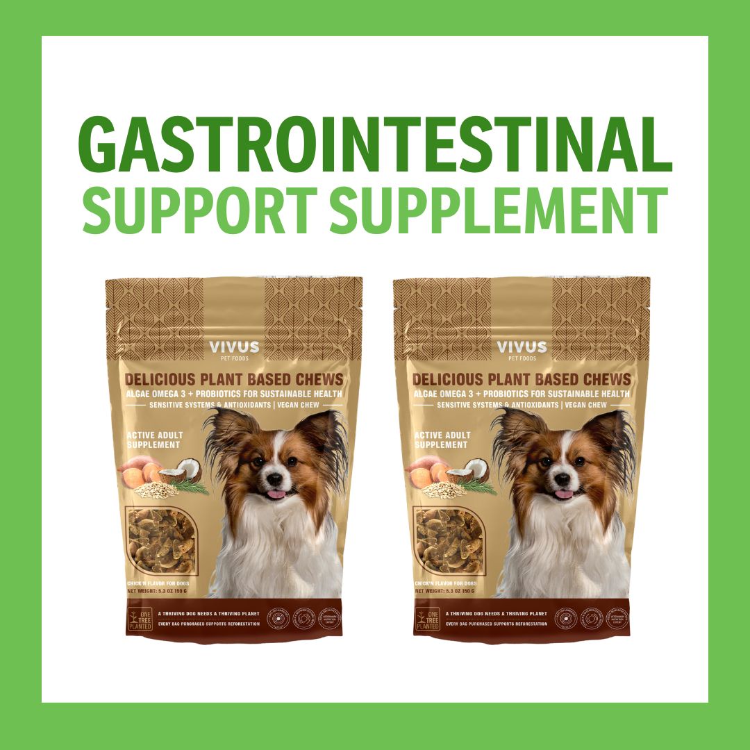 Gastrointestinal Support Chewable Supplement (150g Big Pack) 2-Pack Bundle