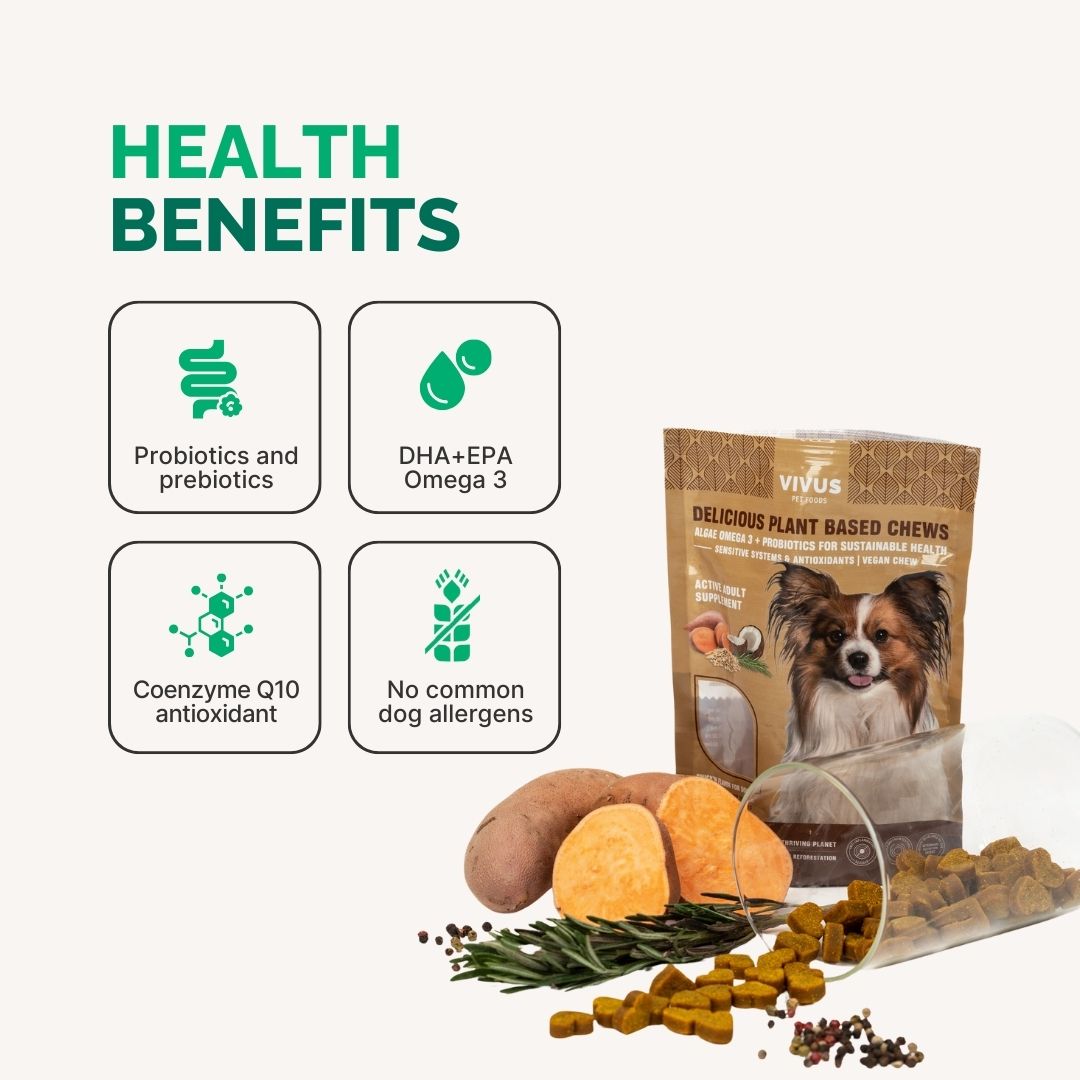 Gastrointestinal Support Chewable Supplement (150g Big Pack)