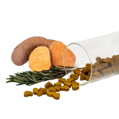 Gastrointestinal Digestive Support Supplement Chews