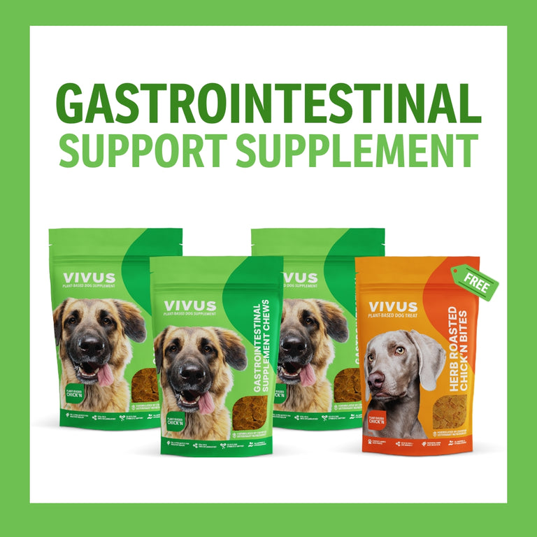 Gastrointestinal Support Chewable Supplement 3-Pack Bundle