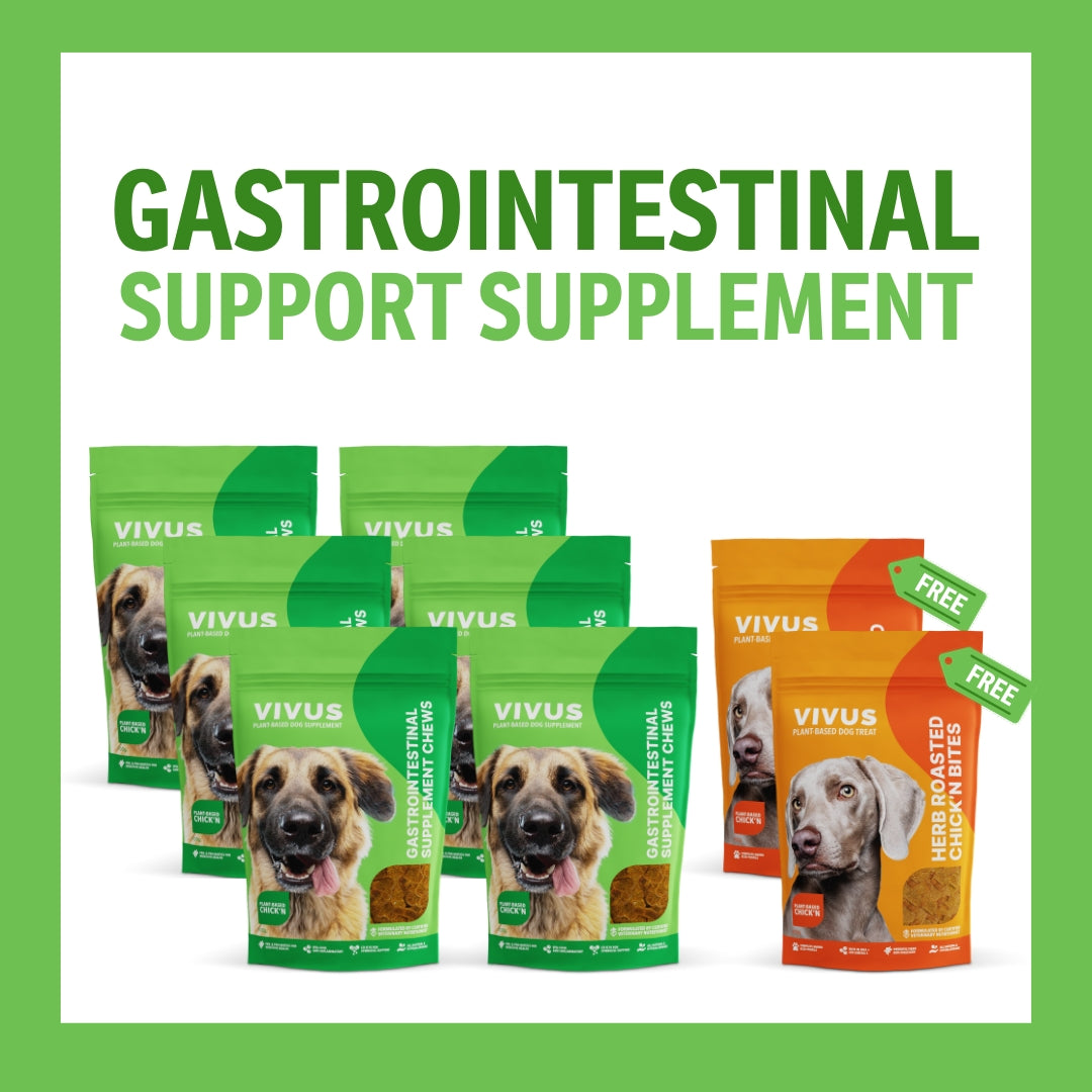 Gastrointestinal Support Chewable Supplement 6-Pack Bundle