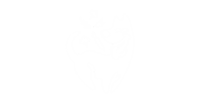 Healthy dog