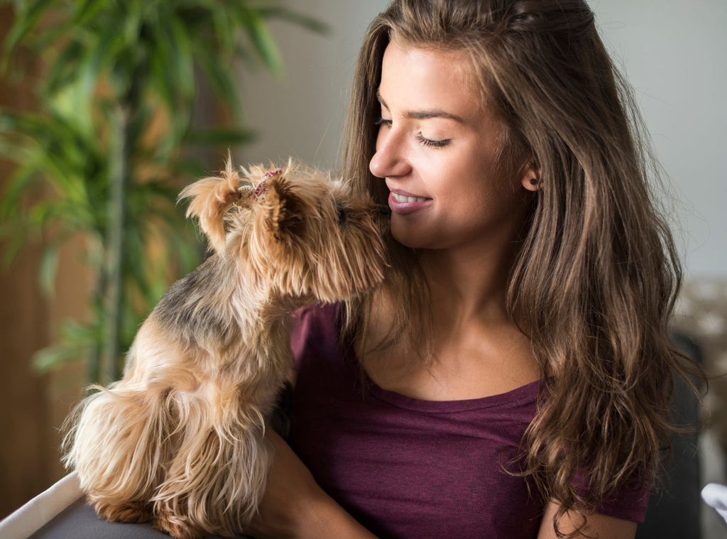 Woman caring for her dog