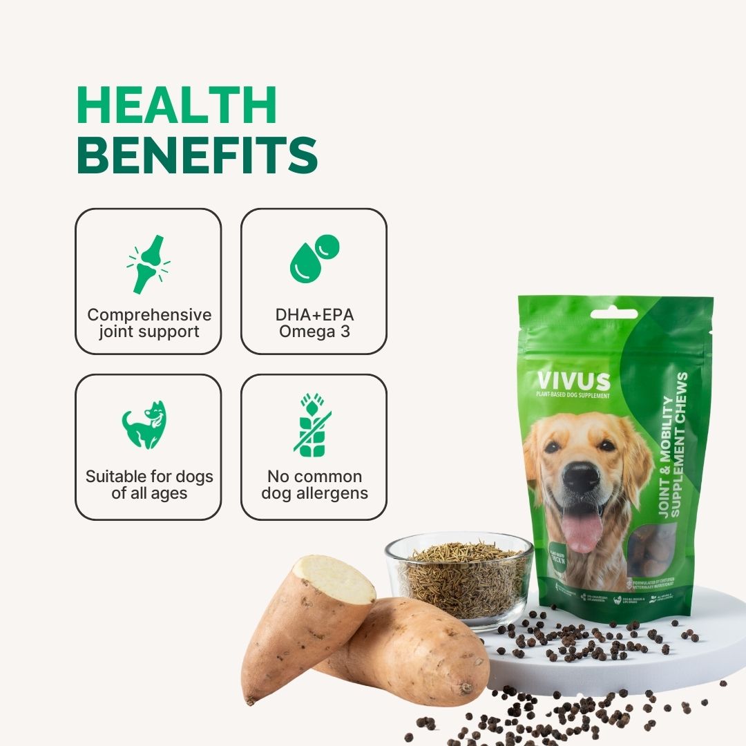 Joint and Mobility Support Chewable Supplement