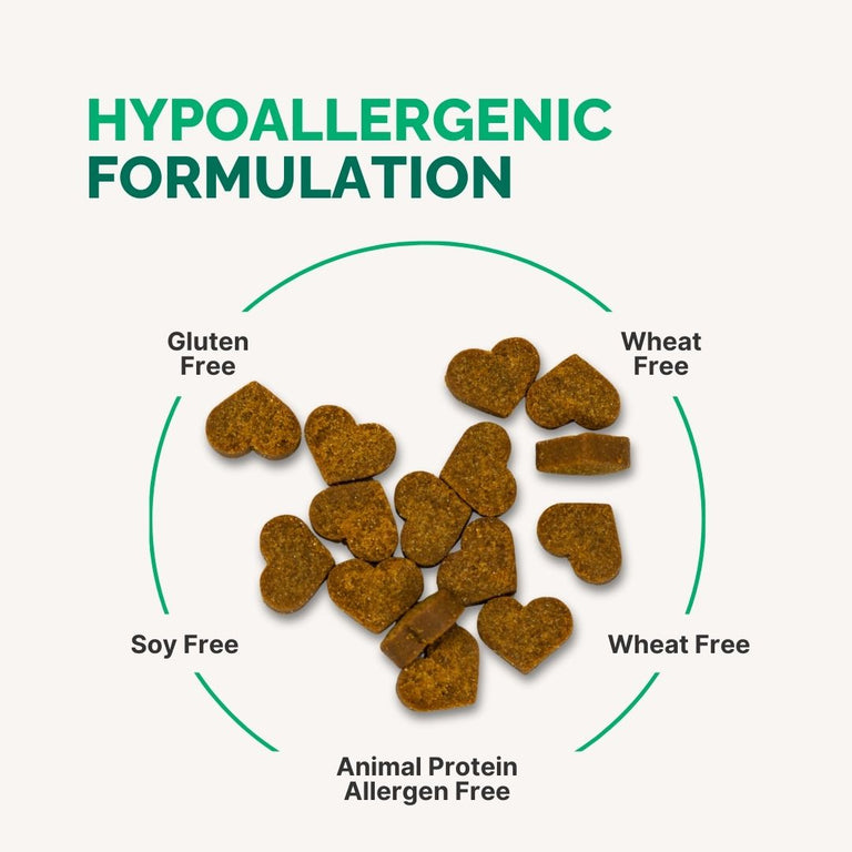 Joint and Mobility Support Chewable Supplement