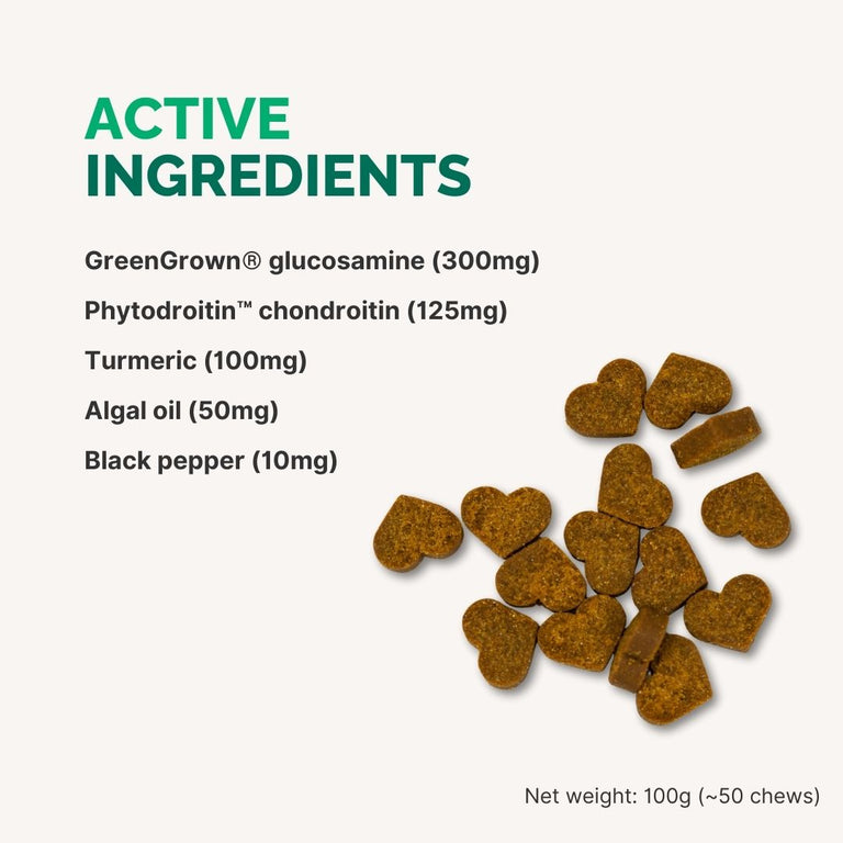 Joint and Mobility Support Chewable Supplement