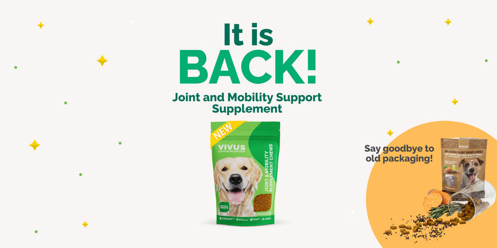 Joint Supplement back in stock announcement 