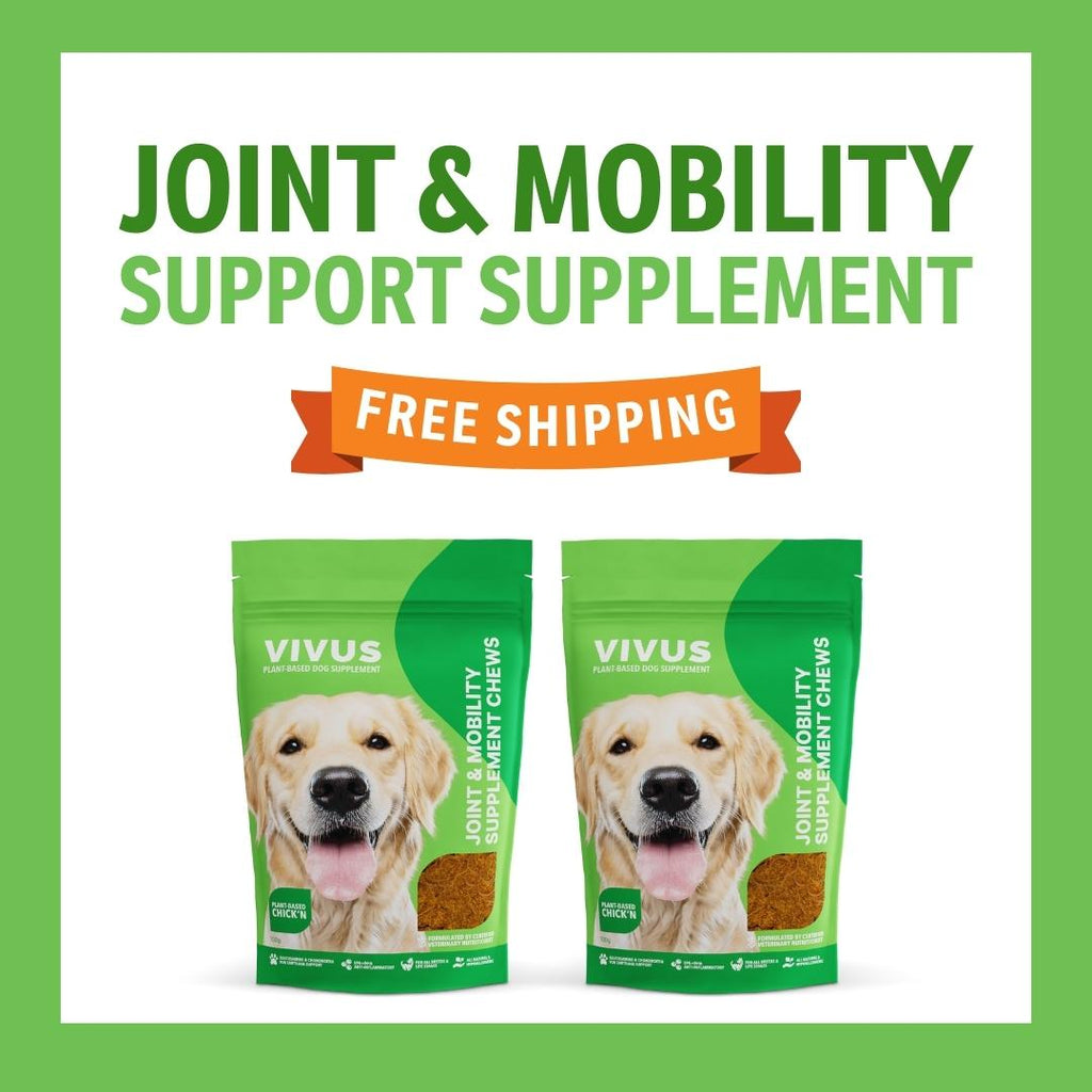Joint and Mobility Support Supplement 2-Pack Bundle