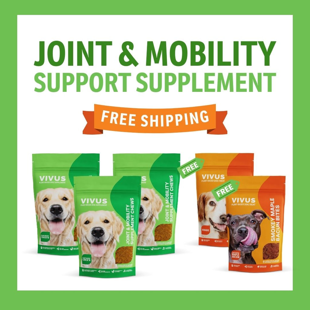Joint and Mobility Support Supplement 3-Pack Bundle