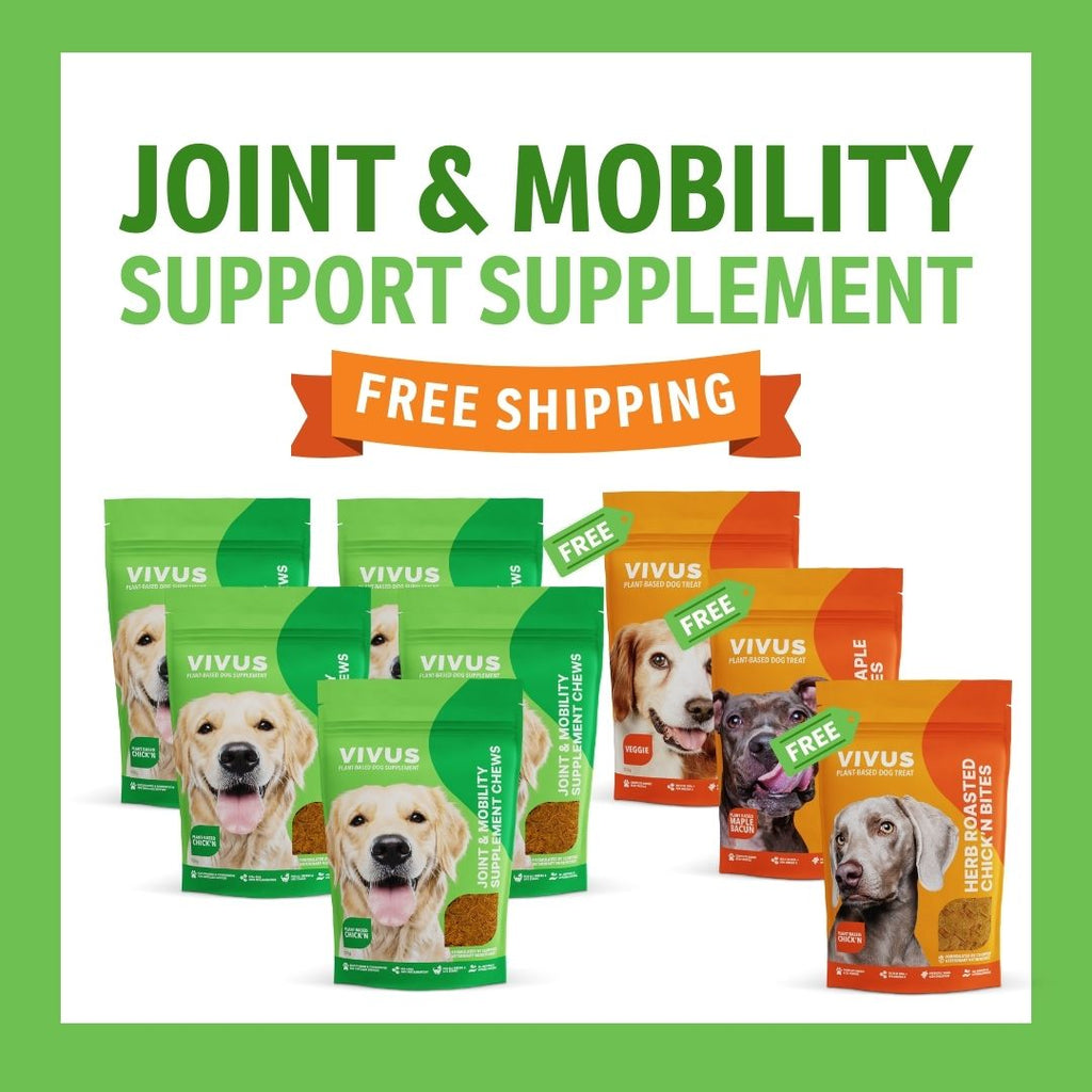 Joint and Mobility Support Supplement 5-Pack Bundle