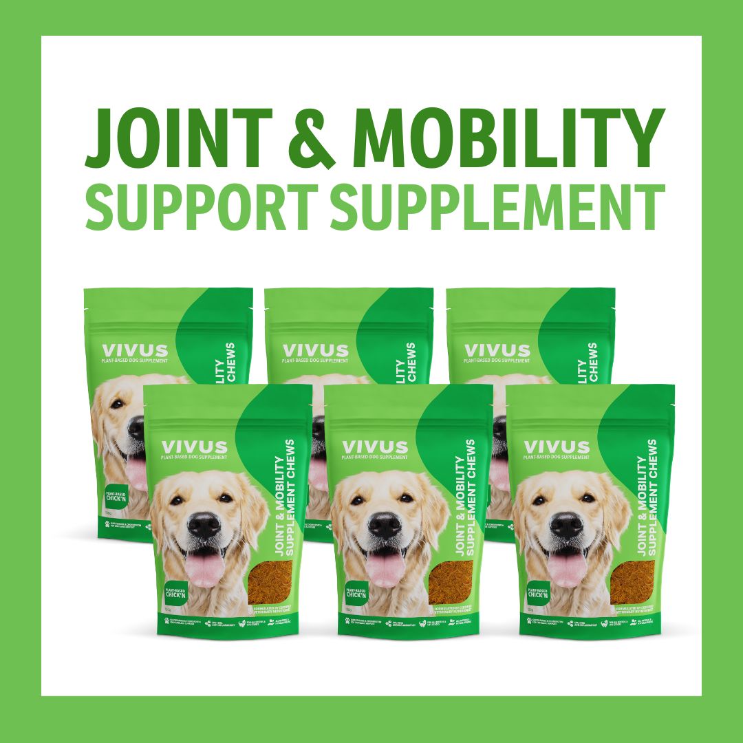 Joint and Mobility Support Supplement 6-Pack Bundle