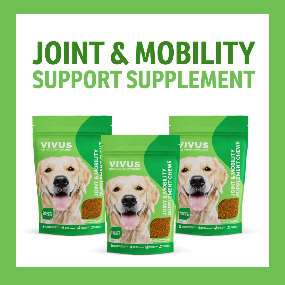 Joint and Mobility Support Supplement 3-Pack Bundle