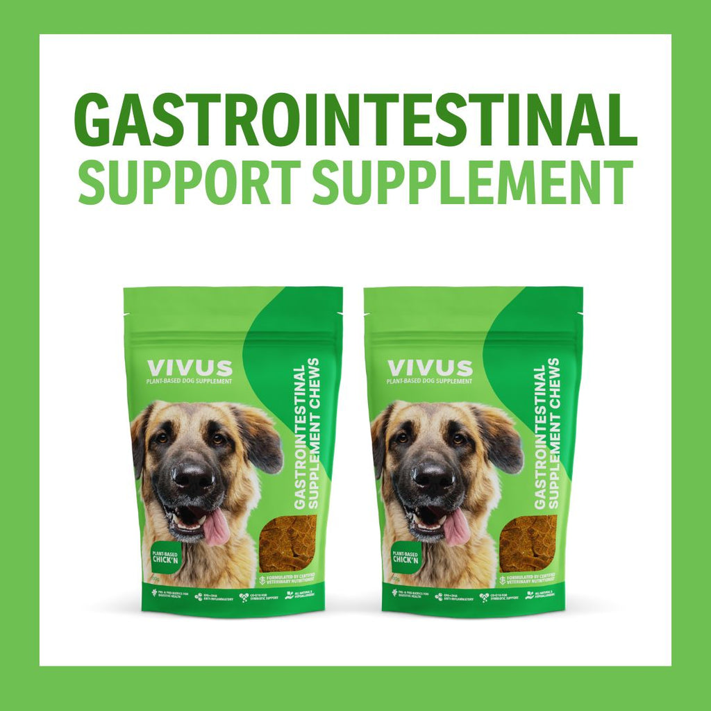 Gastrointestinal Support Chewable Supplement 2-Pack Bundle