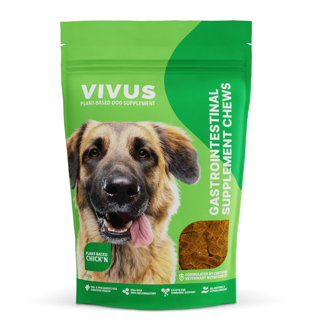 Gastrointestinal Support Chewable Supplement