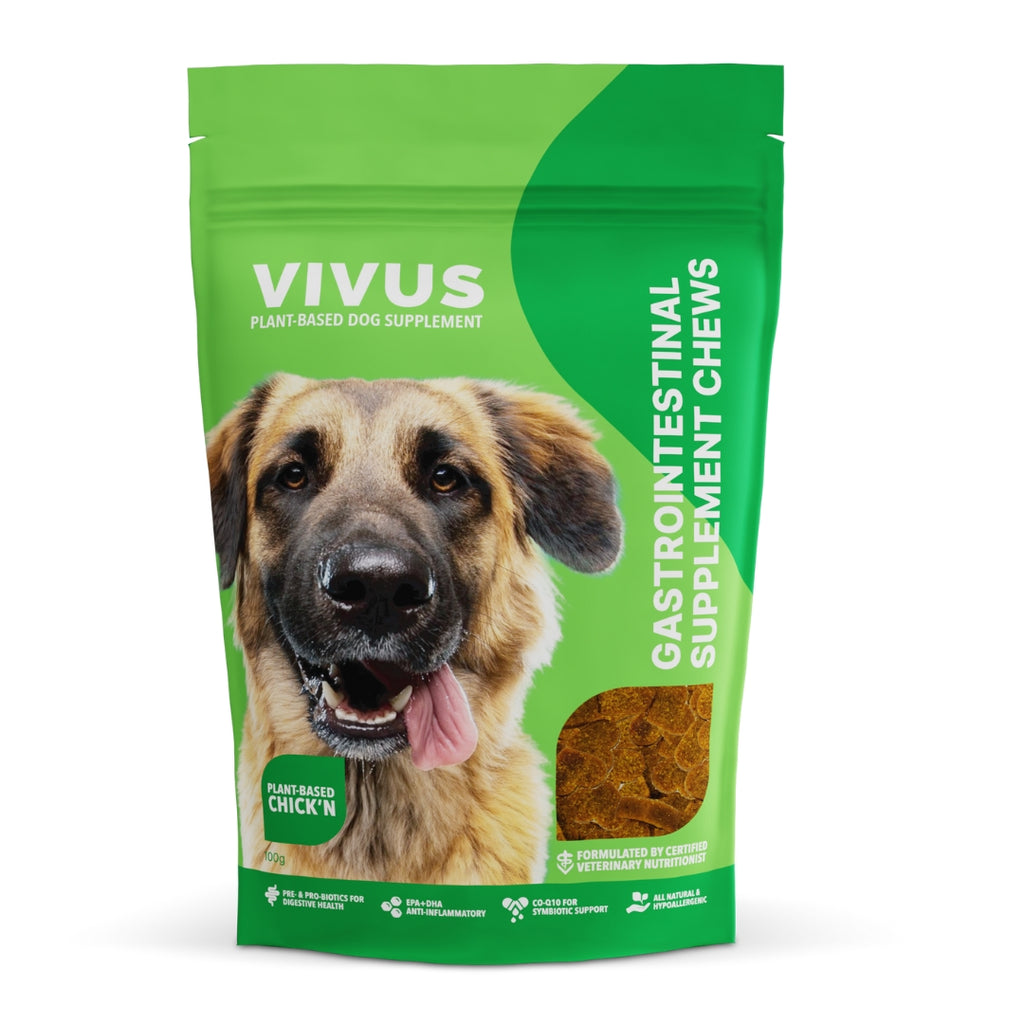 Gastrointestinal Support Supplement for Dogs