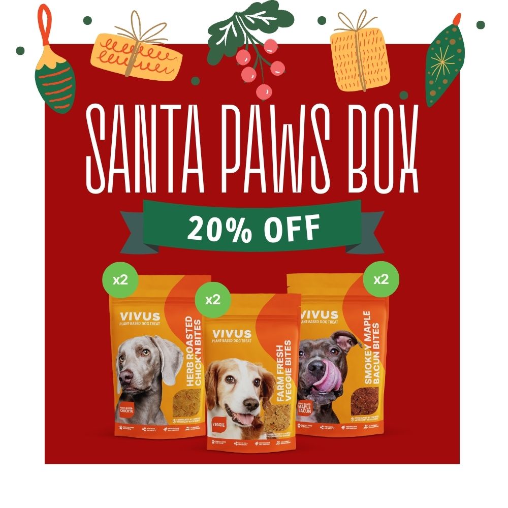 Santa Paws Box 2023