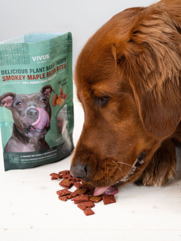 Dog eatting Smokey Maple Bacun Bites