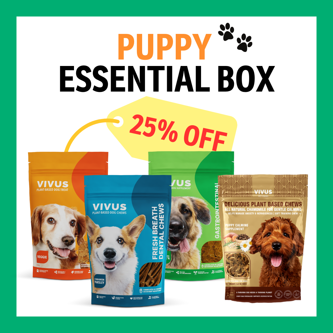 Vegan Puppy Essential Box Healthy Dog Treats Subscription Box Vivus Pets