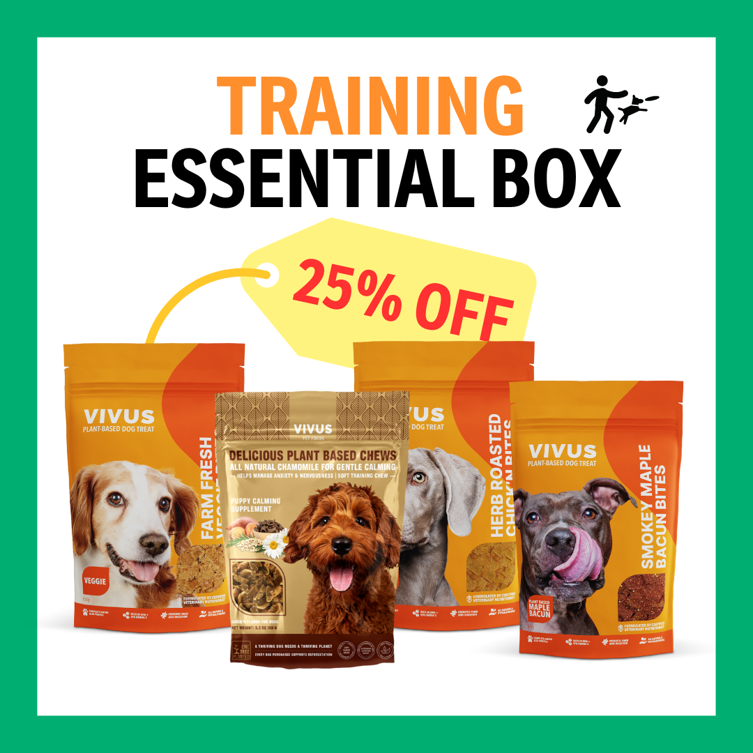Pet best sale treat box