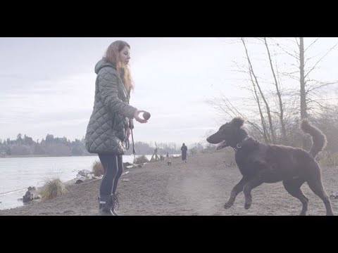 Joint and Mobility Support Chewable Supplement